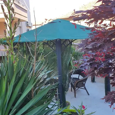 Venis House 3* Созопол