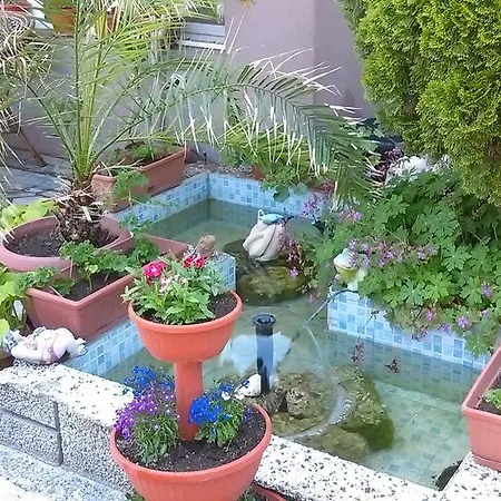 Venis House 3* Созопол