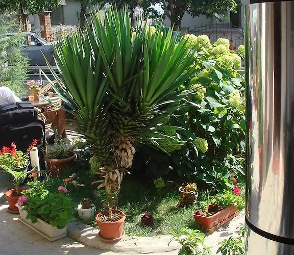 Hotel Venis House 3*