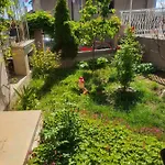 Venis House فندق
