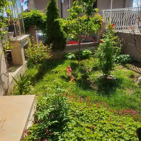 Venis House فندق