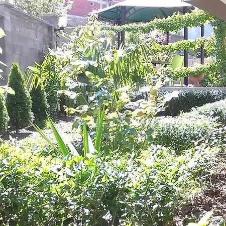 Venis House 3* Süzebolu