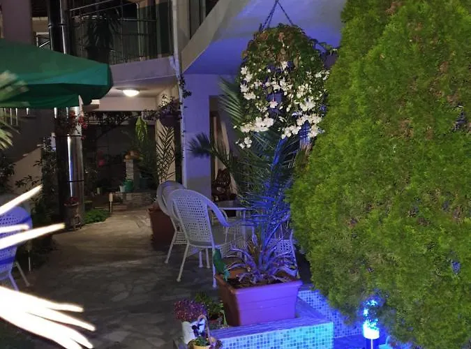 Hotel Venis House